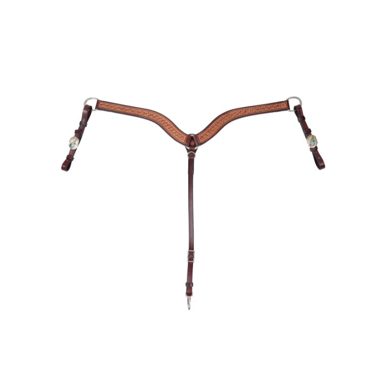 Collier Montana