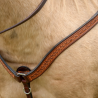 Collier Montana